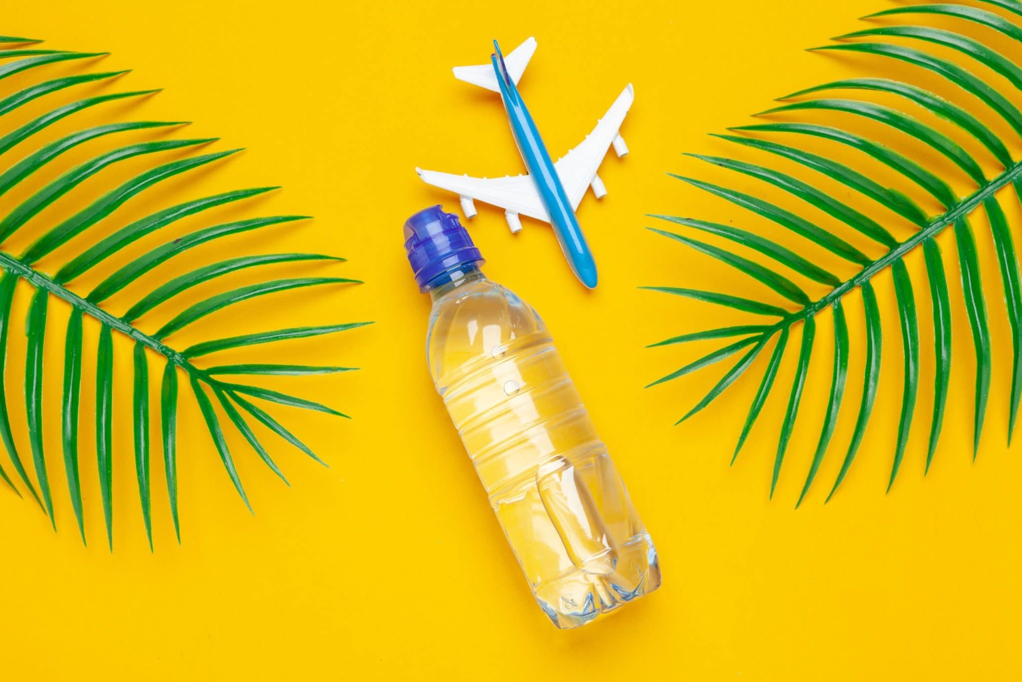 Quelles sont les restrictions pour une gourde dans l’avion ?