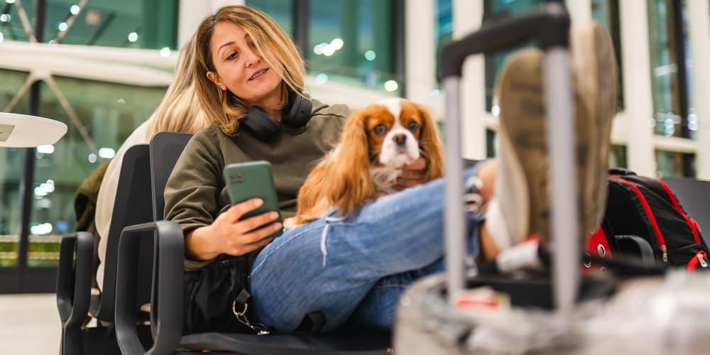 Peut-on aussi considérer un animal de compagnie comme un bagage à main ?